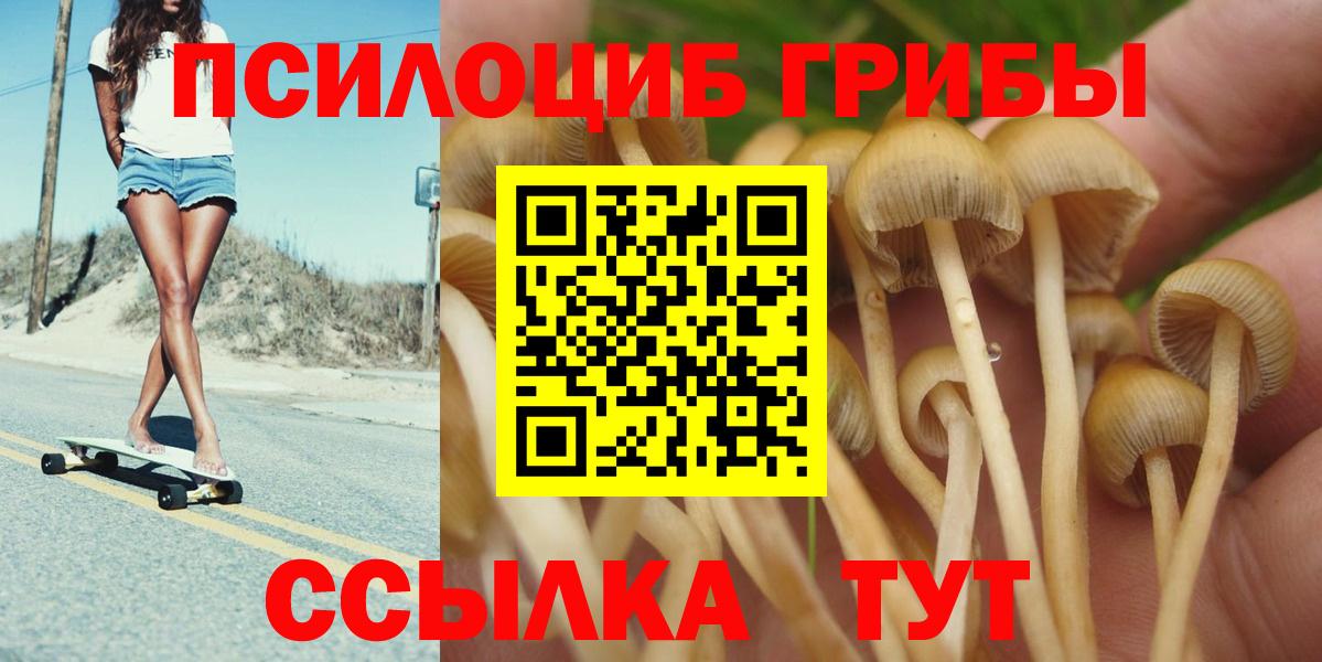 Галлюциногенные грибы мицелий  Вход с VPN  наркота  Новодвинск 